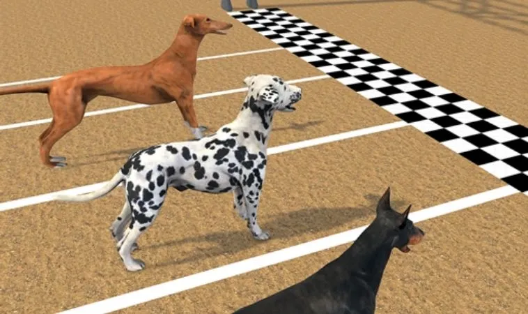 Bí Quyết Chinh Phục Game Đua Chó Nhanh Tại 123B: Hành Trang Bet Thủ