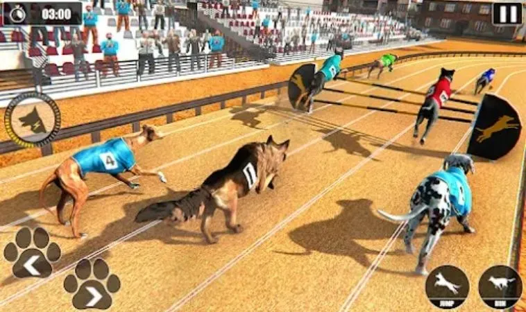 Bí Quyết Chinh Phục Game Đua Chó Nhanh Tại 123B: Hành Trang Bet Thủ